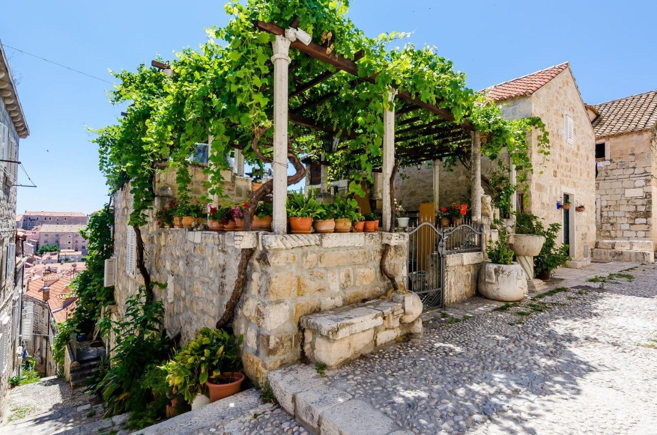 Note Bene Guest house Dubrovnik